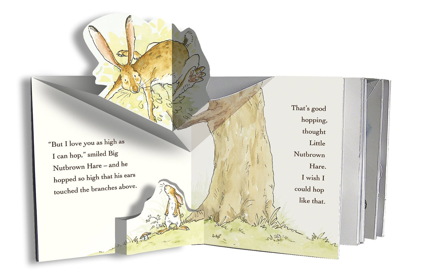 Guess How Much I Love you Pop up - книга на англиски јазик