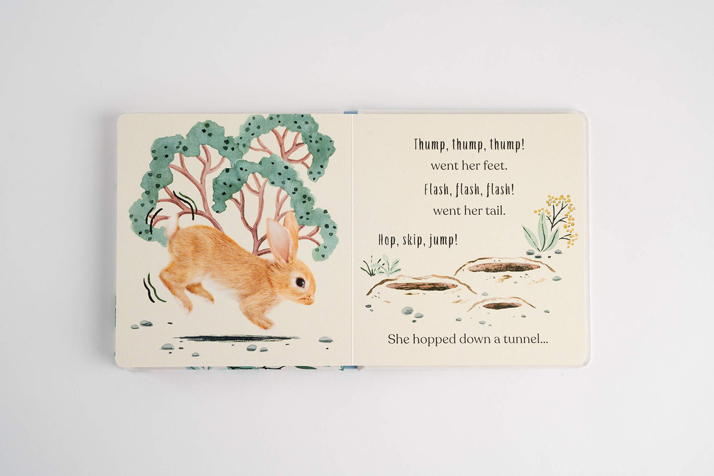 Goodnight Little Bunny - книга на англиски јазик