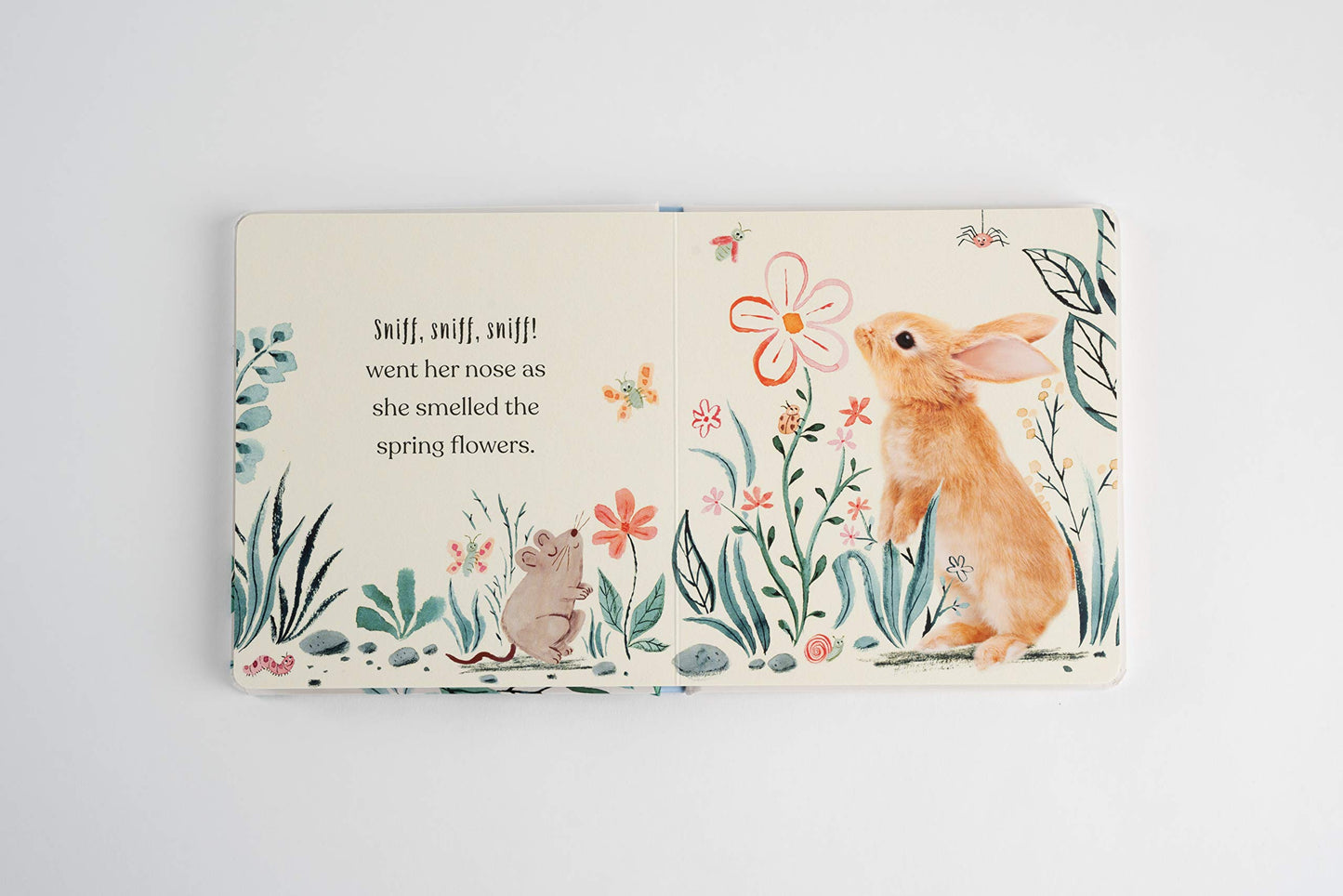 Goodnight Little Bunny - книга на англиски јазик