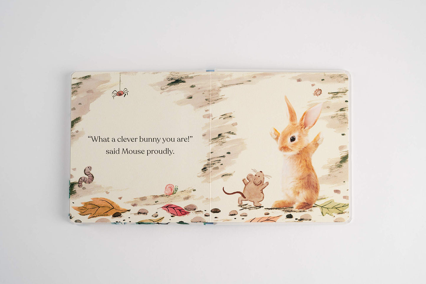 Goodnight Little Bunny - книга на англиски јазик