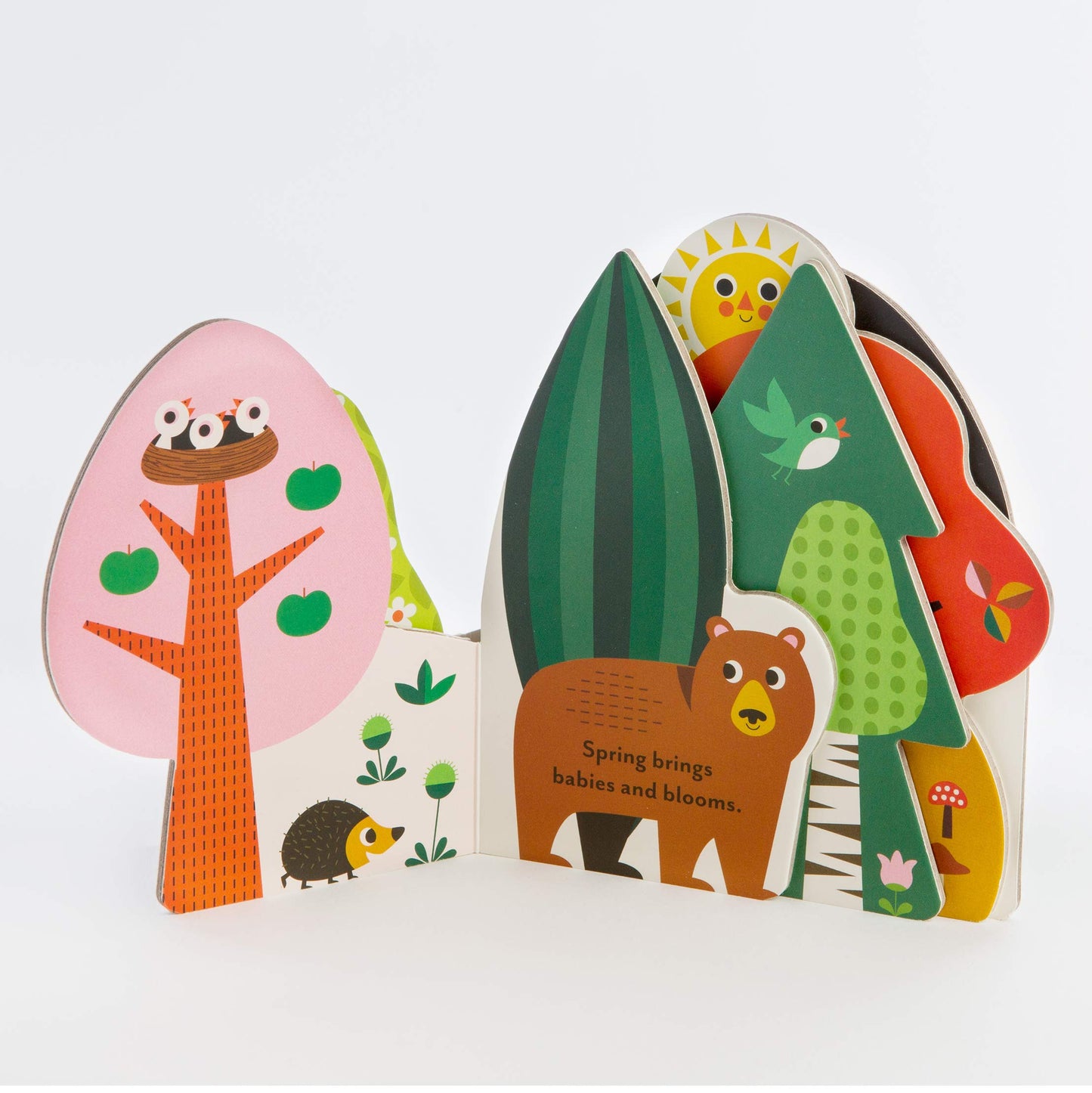 Bookscape Board Books: A Forest's Seasons - книга на англиски
