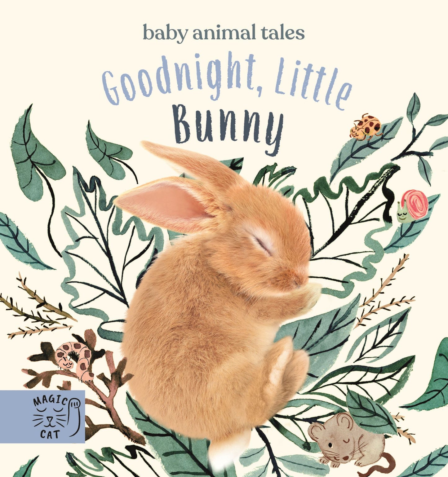 Goodnight Little Bunny - книга на англиски јазик
