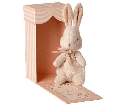 Моето прво зајче