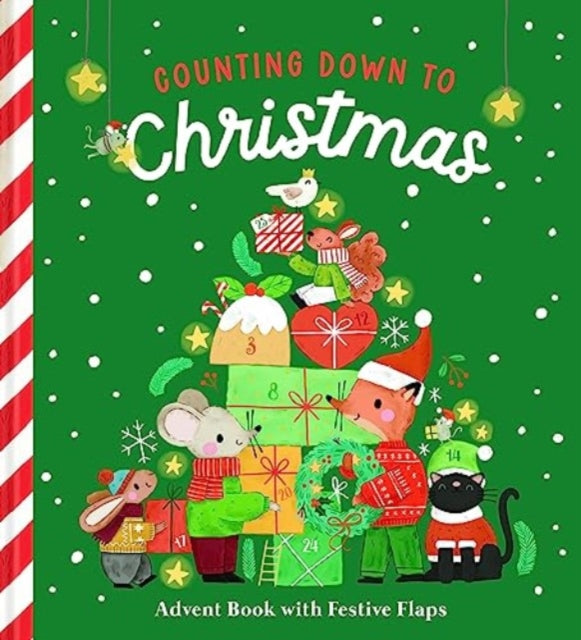 Counting Down to Christmas : Advent Book with Festive Flaps - книга на англиски јазик