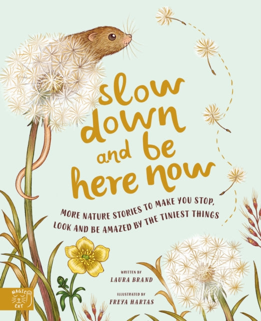 Slow Down and Be Here Now - книга на англиски јазик